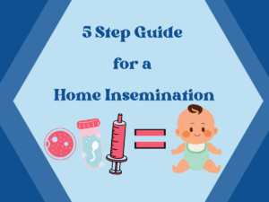 Home Insemination Guide